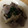 koriko23's cooksnap of when they made 砂肝としいたけのブルーチーズ炒め.
