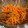 Nkt Chankinu95's cooksnap of when they made にんじんの胡麻マヨ和え.