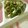 みんちゃん♡、's cooksnap of when they made ほうれん草と卵の和え物.