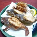 かこ☆かっちゃん's cooksnap of when they made メバルのから揚げ.