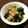 LirA1001's cooksnap of when they made 豚肉と小松菜とわかめの炒め物.