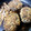 mintacos's cooksnap of when they made 和風おろし煮　ひじきハンバーグ.