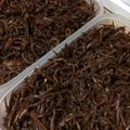 マユミィ's cooksnap of when they made いかなごのくぎ煮【小さなイカナゴ用】.