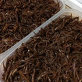 マユミィ's cooksnap of when they made いかなごのくぎ煮【小さなイカナゴ用】.