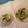 きゃんでぃーぽぽ's cooksnap of when they made たっぷり野菜ともやしのナムル♡.