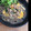 0201yumi's cooksnap of when they made あったかとろん♪ふんわりたまごの親子そば.