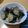 anomalo's cooksnap of when they made なすのチーズ炒め.