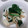 ねねぽこ's cooksnap of when they made 副菜＊長芋とほうれん草のさっぱり煮.