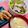 ˚♡'s cooksnap of when they made おうちにあるもので！自家製ベーコン♪.