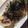 良好ママちん's cooksnap of when they made 材料ふたつ！絶品ツナ納豆パスタ.
