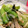 marisalu's cooksnap of when they made 簡単☆しゃきしゃき小松菜のおひたし.