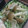 のんトメ's cooksnap of when they made 水菜としめじの簡単お浸し☆.