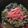 uruma's cooksnap of when they made ★めちゃうま牛丼★.