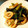 **みっきー**'s cooksnap of when they made 簡単♪いかとネギの醤油炒め.