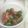 ごまちゅん's cooksnap of when they made ♡簡単♡芽キャベツとベーコンの塩麹炒め.