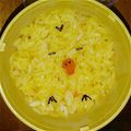 nekowahaha's cooksnap of when they made デコふりで簡単キイロイトリキャラ弁デコ弁.
