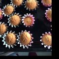 いかいー's cooksnap of when they made ＊しっとりふわふわ　バターカップケーキ＊.
