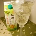 大魔女's cooksnap of when they made 飲みやすい❤辛口梅酒のサイダー割り.