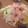 トムラウシ's cooksnap of when they made だれでも簡単！小エビのカクテルサラダ.