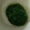 林檎ぉ's cooksnap of when they made ♫離乳食♫　【基本の野菜　ほうれん草】.