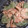 saki1010's cooksnap of when they made えびとスナックえんどうのマヨソース.