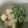 かぴーな's cooksnap of when they made 高野豆腐と水菜の煮物.