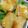 デイル1216's cooksnap of when they made サクサク油揚げと水菜サラダ！.