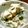海風♪'s cooksnap of when they made 明日葉の白和え.