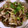 kumi06's cooksnap of when they made 砂ぽん！！（砂肝のぽん酢和え）.