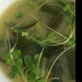 yukkiddr02's cooksnap of when they made かいわれとわかめの味噌汁.