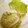 Spain's cooksnap of when they made 我が家のキャベツの保存方法.