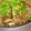ごめっきー's cooksnap of when they made メンマとぜんまいと椎茸の牛肉炒め！.