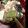 ユイコ０００'s cooksnap of when they made 青梗菜のクリーム煮.