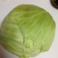 それいゆ★'s cooksnap of when they made 我が家のキャベツの保存方法.