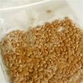 terakooo's cooksnap of when they made 離乳食 納豆のフリージング.