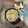 ちゃかぴまま's cooksnap of when they made 簡単！美味しい！【しらすの塩丼】.