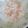 bu¢¢sky♪'s cooksnap of when they made 簡単　手作り桜でんぷ.