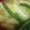 りまたあ's cooksnap of when they made 野菜がｺﾞﾛﾝ☆中華風ｽｰﾌﾟ☆∮.