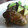 cocoりえ's cooksnap of when they made 簡単！美味しい！牡蠣のオイル漬け.