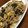 Tropicana✧'s cooksnap of when they made 豚肉ときくらげの卵炒め.