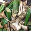 しいなん♪'s cooksnap of when they made 簡単・オクラときのこのしょうが醤油和え.