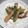 １１０ｕｋｎ's cooksnap of when they made アスパラのグリル　オリーブオイルで.