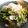 むぴょこぴょこん's cooksnap of when they made 三つ葉のおひたし.