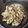 クックQT23CK☆'s cooksnap of when they made スピードおかず♪ 豚肉と長芋の大葉塩炒め.