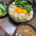 マリアの料理記録日誌's cooksnap of when they made とり胸が極上のやわらかさ♡ふわとろ親子丼.