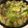 あいぇな's cooksnap of when they made 鶏ももとキャベツのコンソメバター炒め.