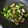 ＫＯＲＯ♪'s cooksnap of when they made エビとイカとブロッコリーの中華炒め.