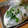 クックHIYL6I☆'s cooksnap of when they made 昆布茶が決め手！ かぶの浅漬け.