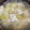 クック5POO64☆'s cooksnap of when they made たらの白子（たち）のお味噌汁～下処理方法.