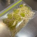 keisarara's cooksnap of when they made 保存食作り・切り干し大根の作り方.